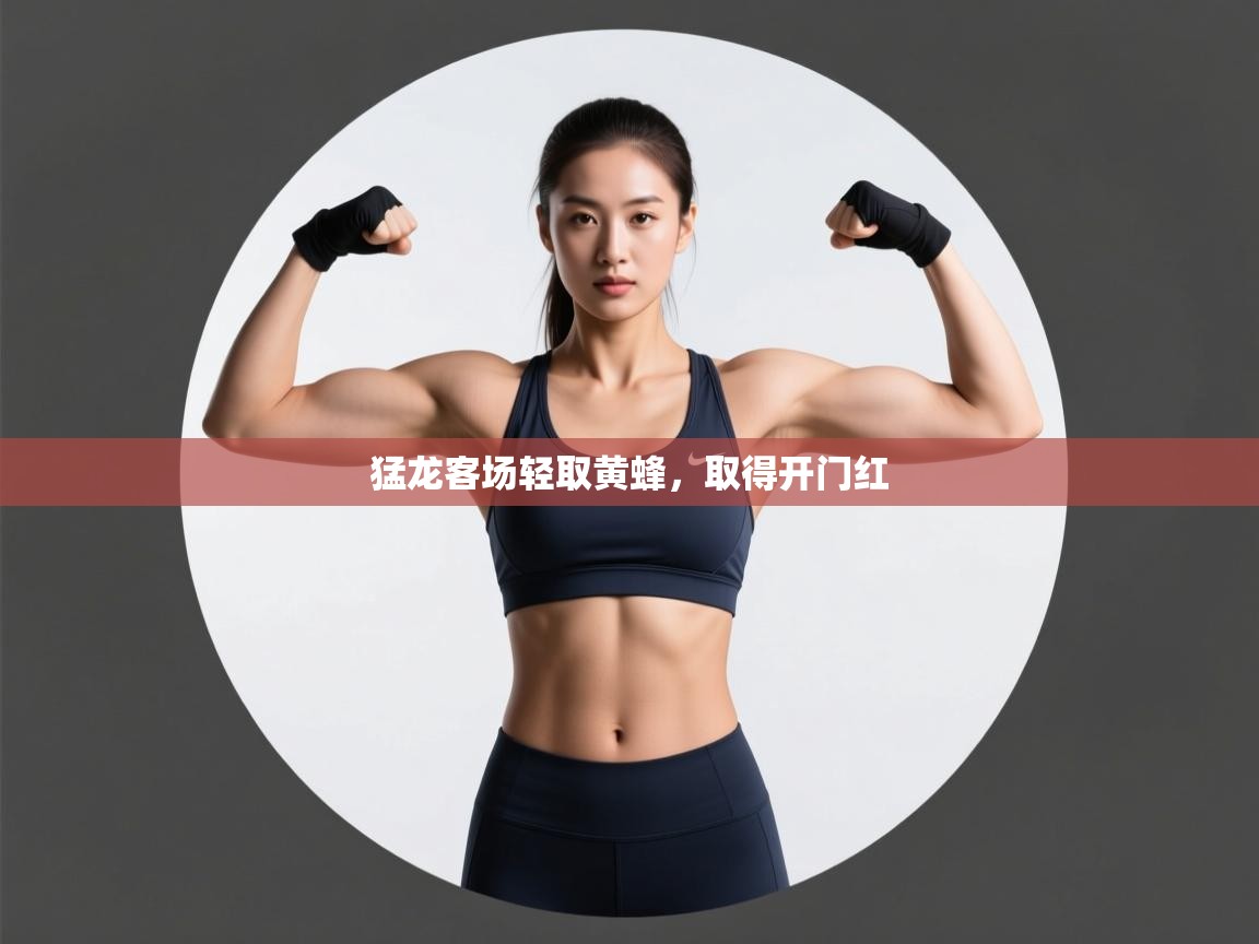 猛龙客场轻取黄蜂，取得开门红  第2张